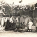 Zakladatel společnosti Martin Puklavec stojí u velkých dřevěných sudů před vinařstvím v roce 1934